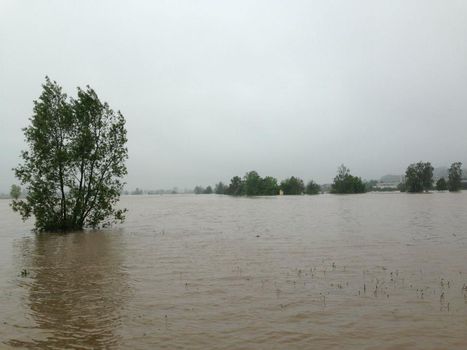 Hochwasser2013-1