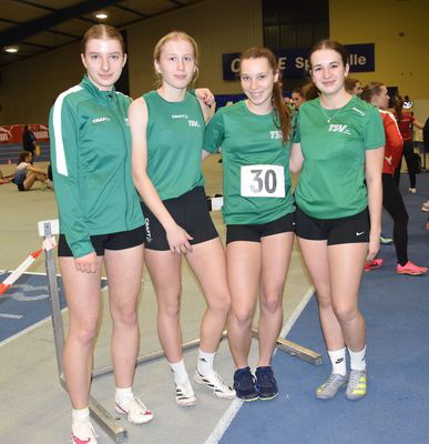 110120250890 Staffelmdels