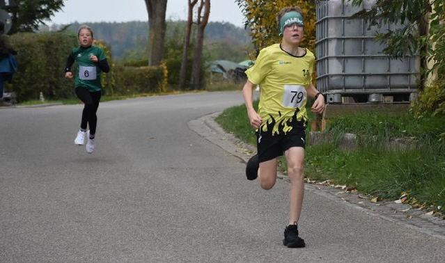 191020250059 Strauss Brueger 191020250059 Strauss Brueger