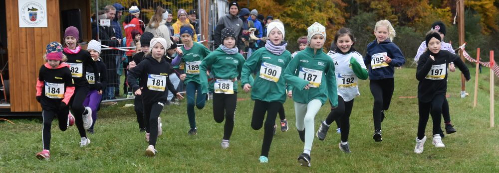 251020250463 Start U10w 251020250463 Start U10w